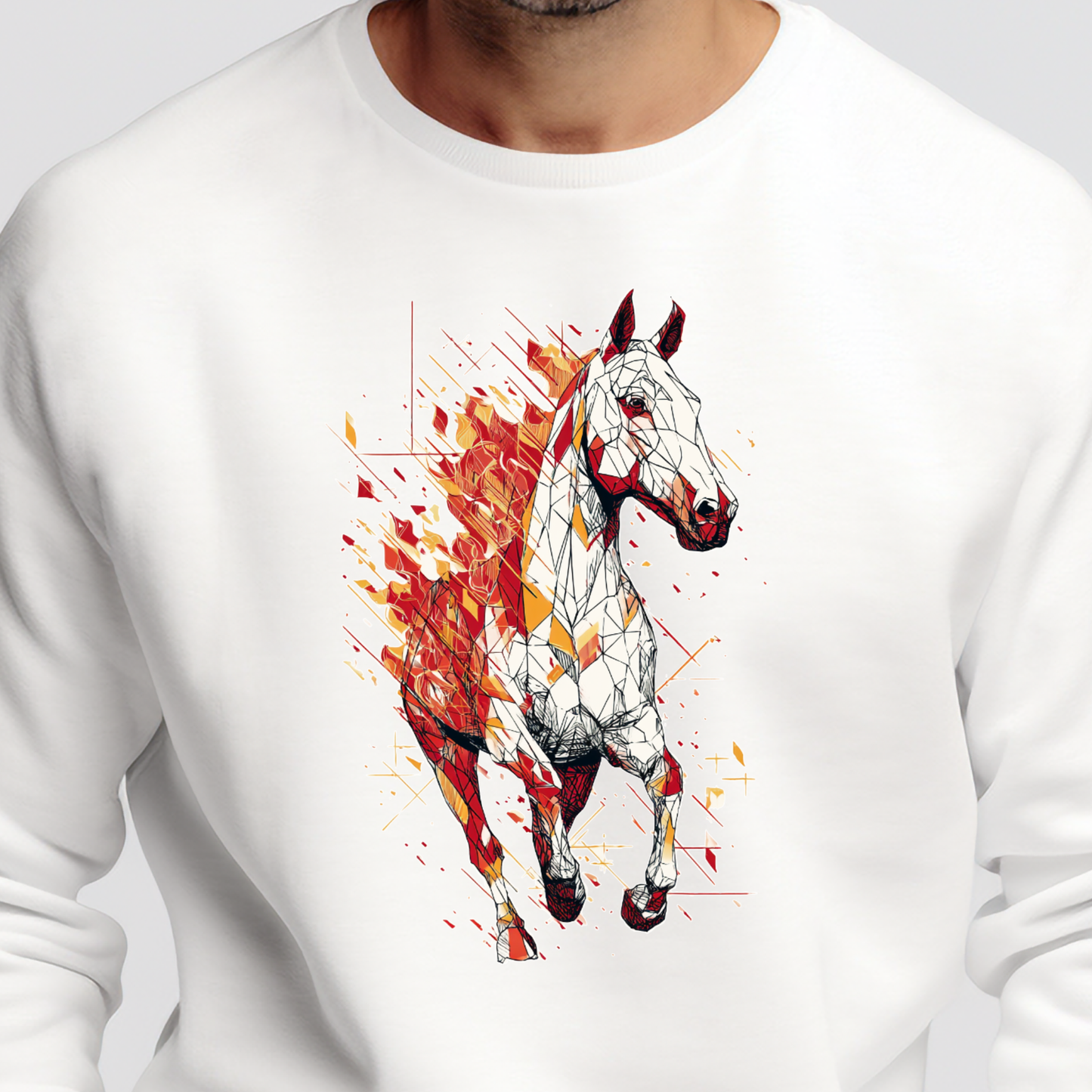 Vyriškas džemperis "Bėgantys metai"