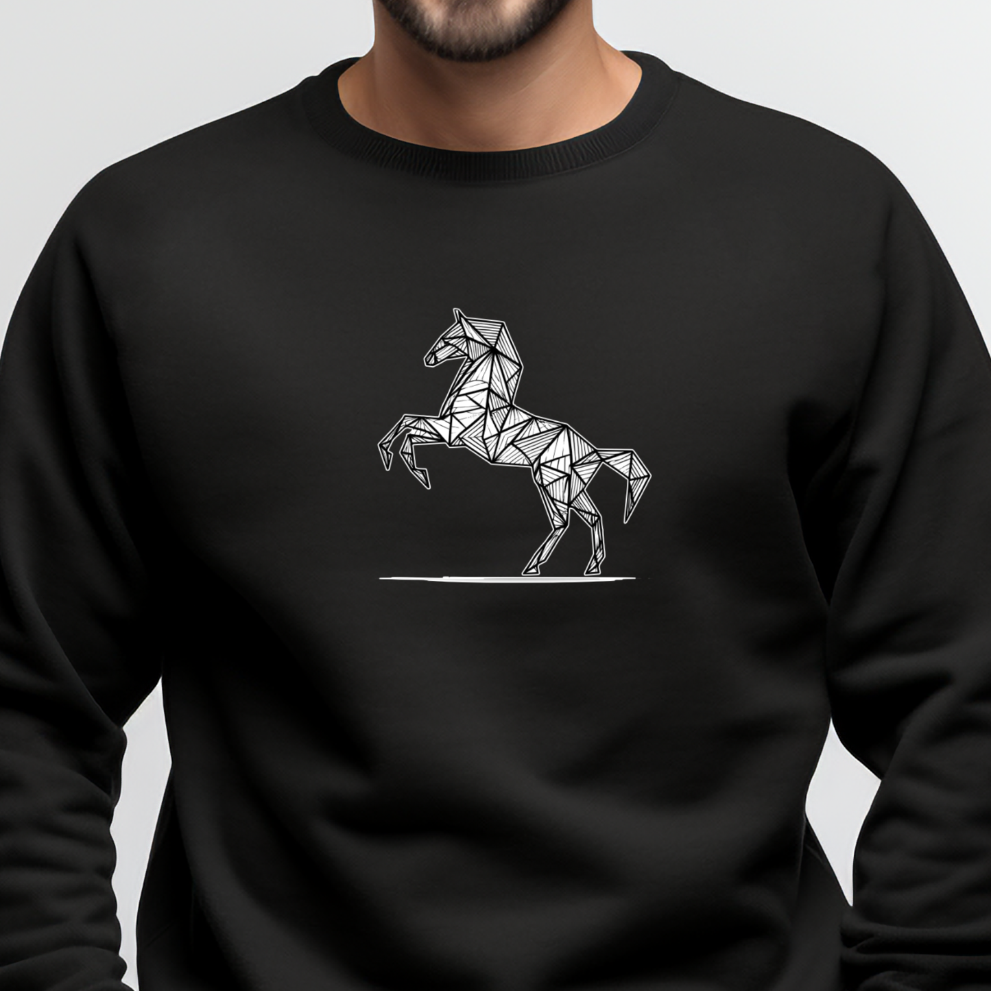 Vyriškas džemperis "Lietuviškas arkliukas"