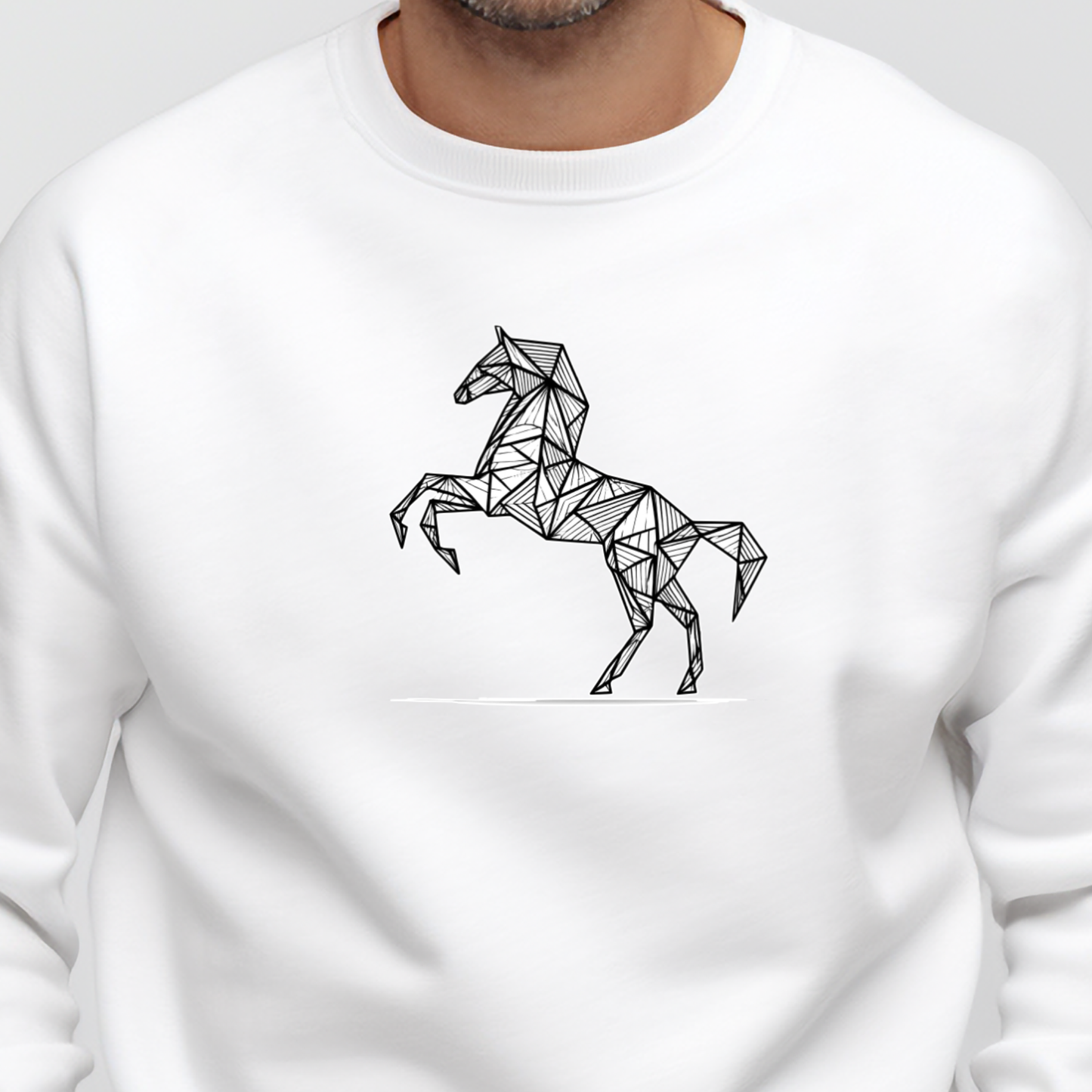 Vyriškas džemperis "Lietuviškas arkliukas"